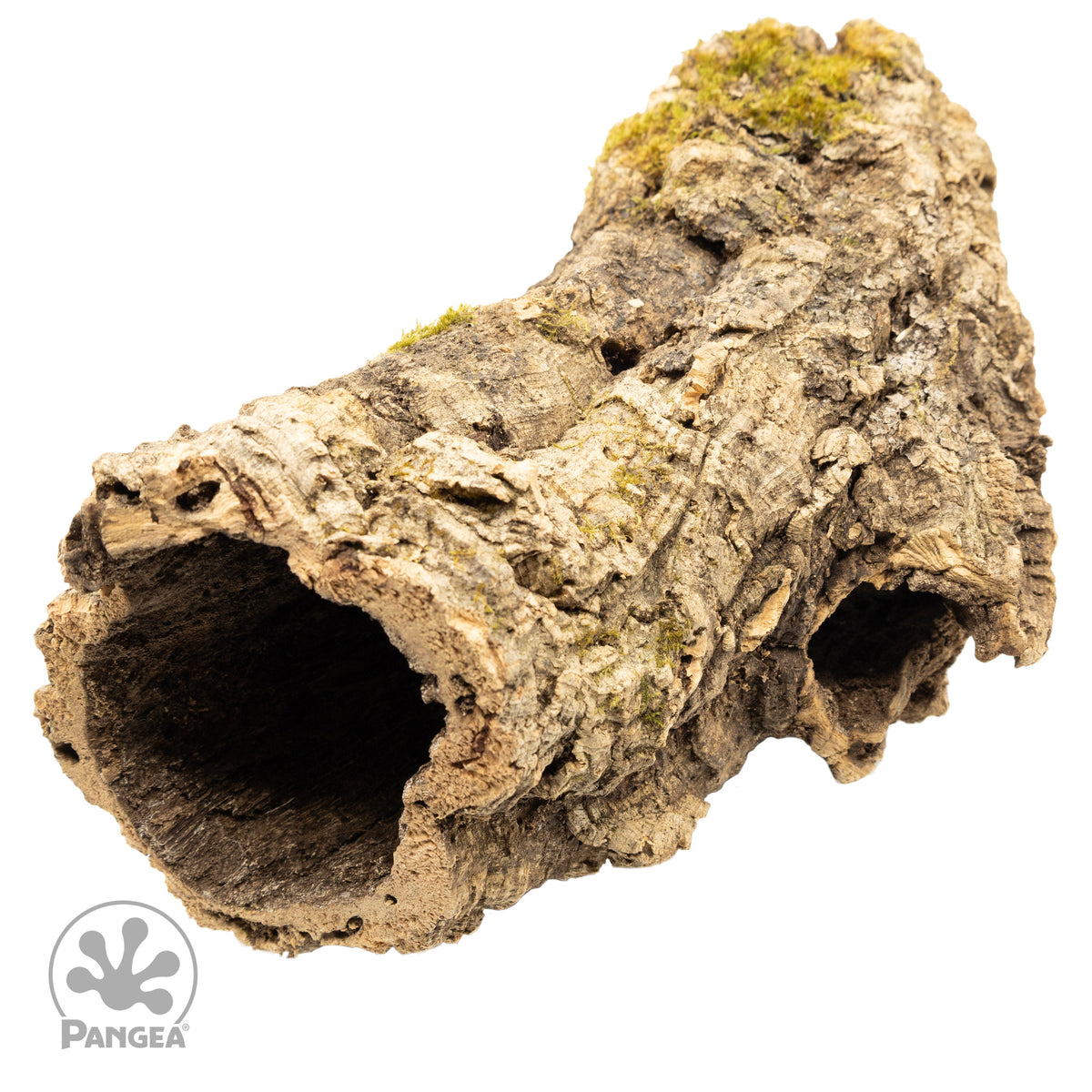 Pangea Cork Bark Rounds