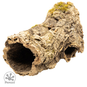 Pangea Cork Bark Rounds