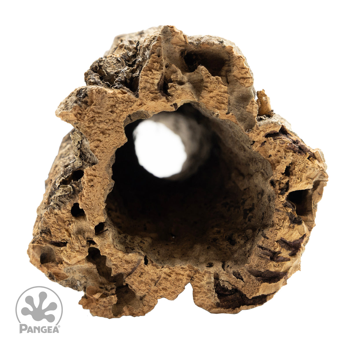 Front view of a small cork wood round on a white background with a trademarked Pangea logo