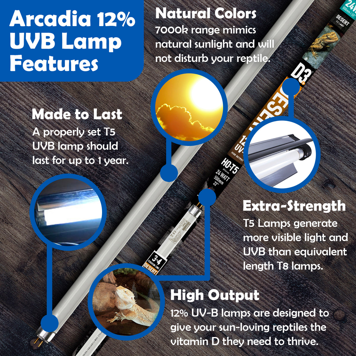 Arcadia 12% UVB lamp features highlighted on a wood background