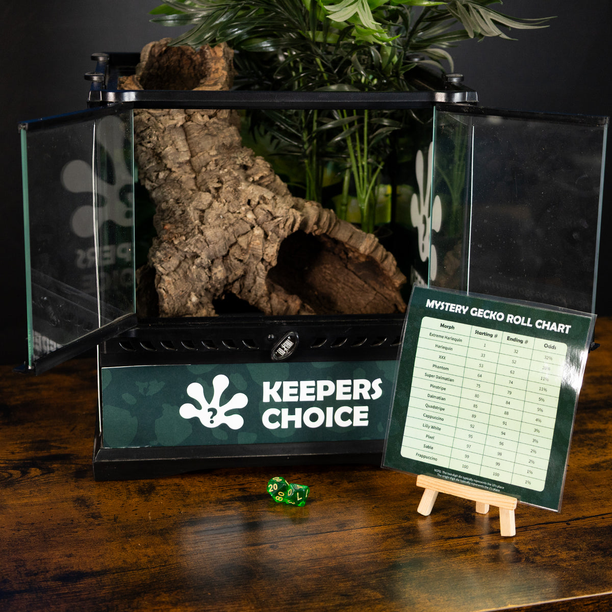 Keeper's Choice Crested Gecko - Pet Geckos Picked by Pangea!
