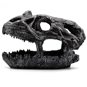 Pangea Dinosaur Skull Reptile Hide