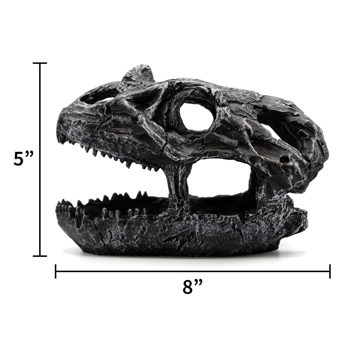 Pangea Dinosaur Skull Reptile Hide