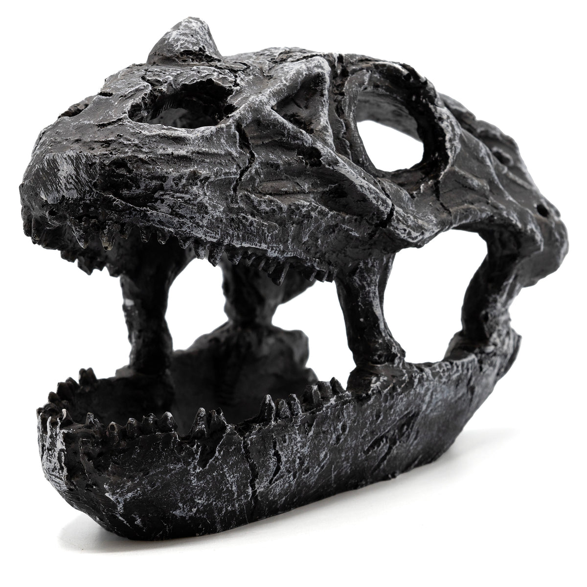 Pangea Dinosaur Skull Reptile Hide