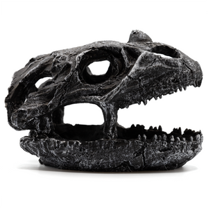 Pangea Dinosaur Skull Reptile Hide
