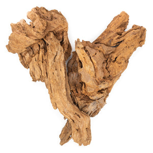 2 small pieces of Malaysian Driftwood arranged in a heart shape on a white background