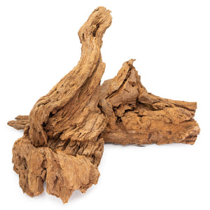 2 Large pieces of Malaysian Driftwood on a white background