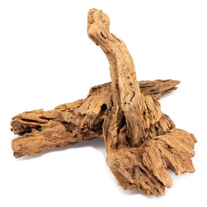 2 large Pieces of Malaysian Driftwood isolated on a white background