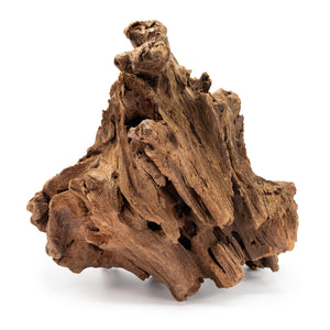 Large Malaysian Driftwood piece on a white background