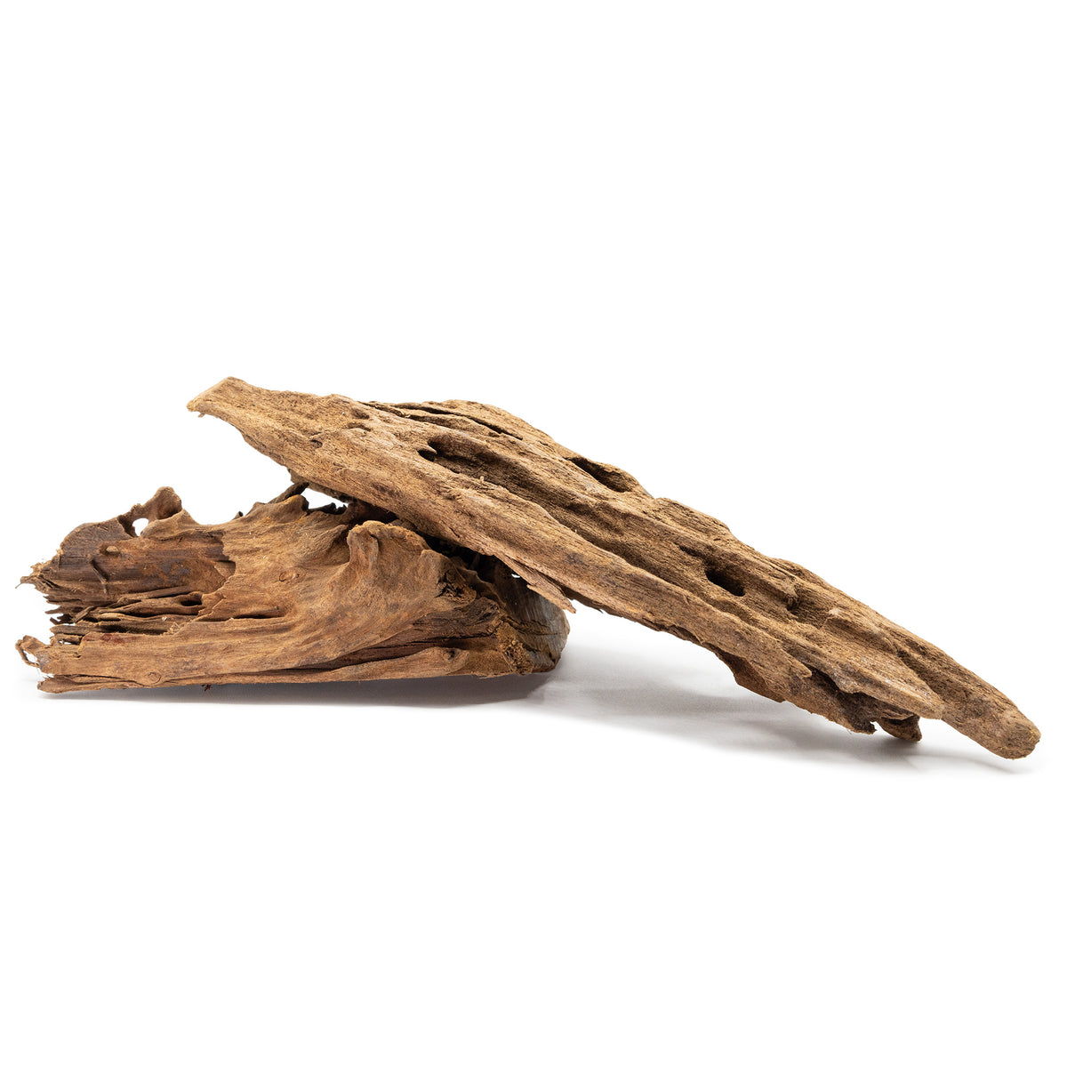 2 large pieces of Malaysian Driftwood stacked on a white background