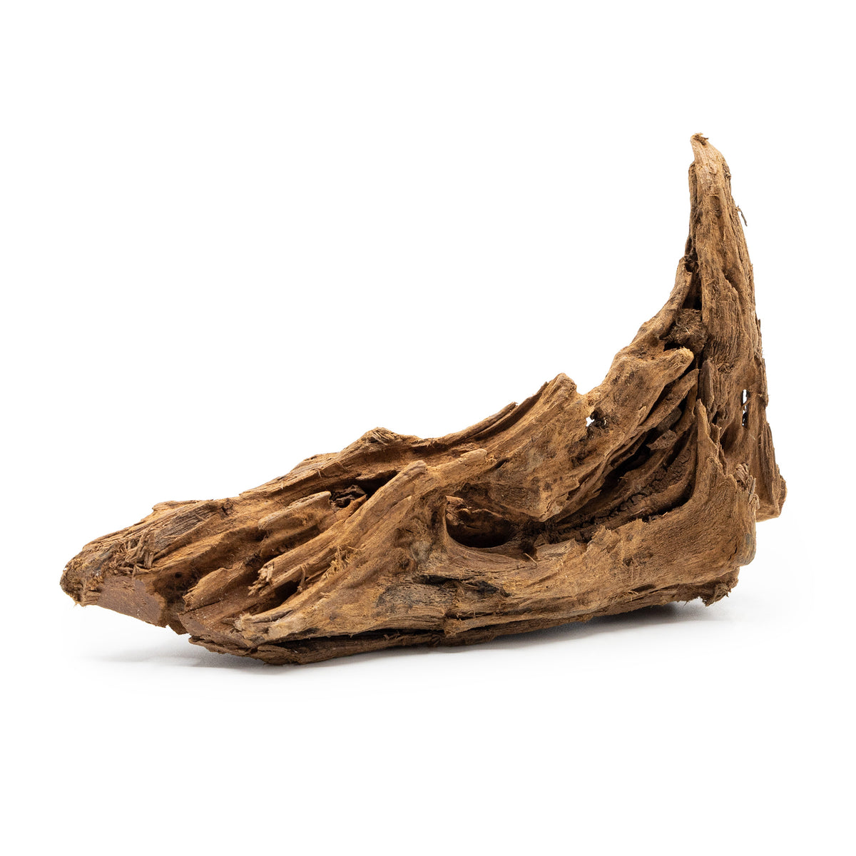Malaysian Driftwood piece (small) on a white background