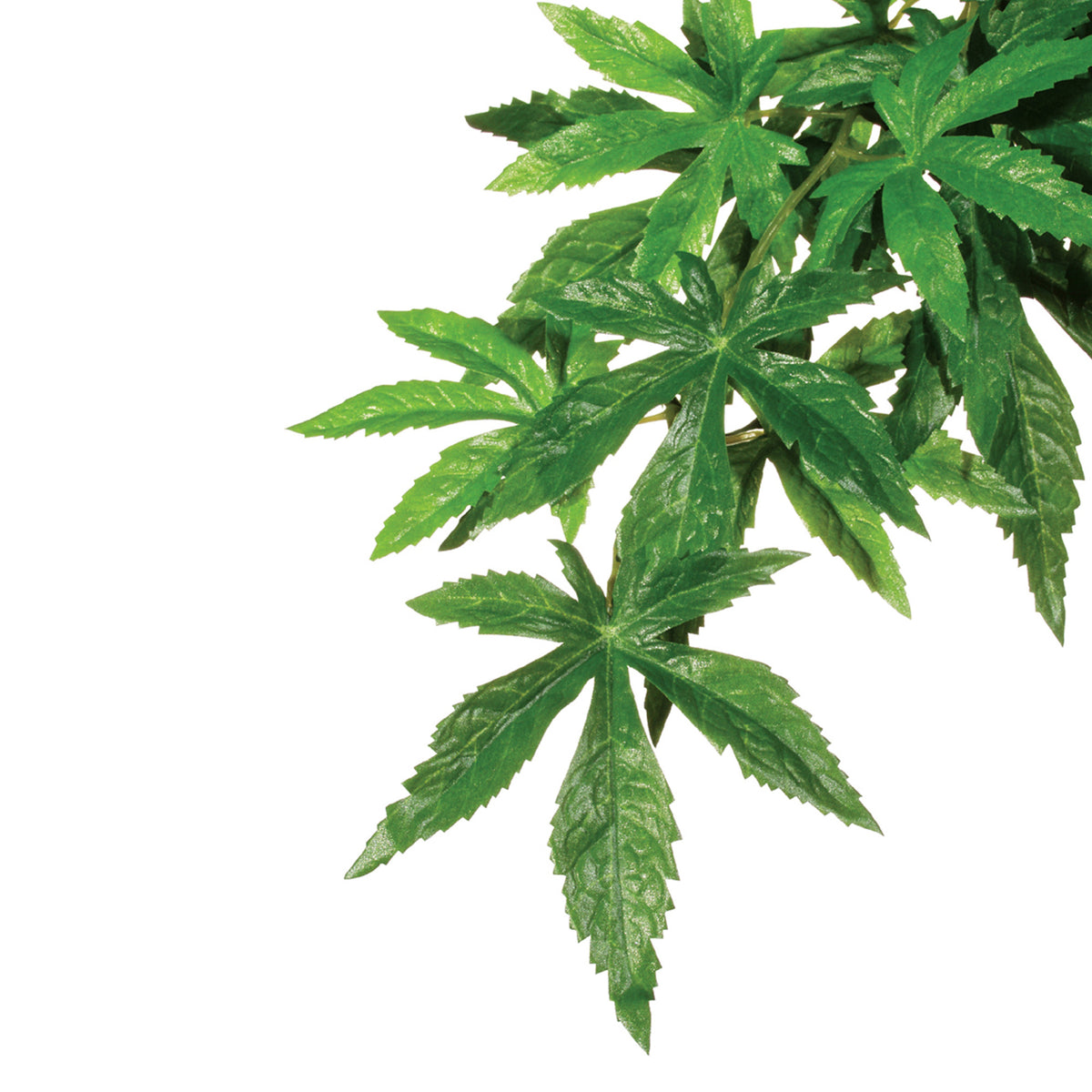 Exo Terra Hanging Silk Plants-Abutilon