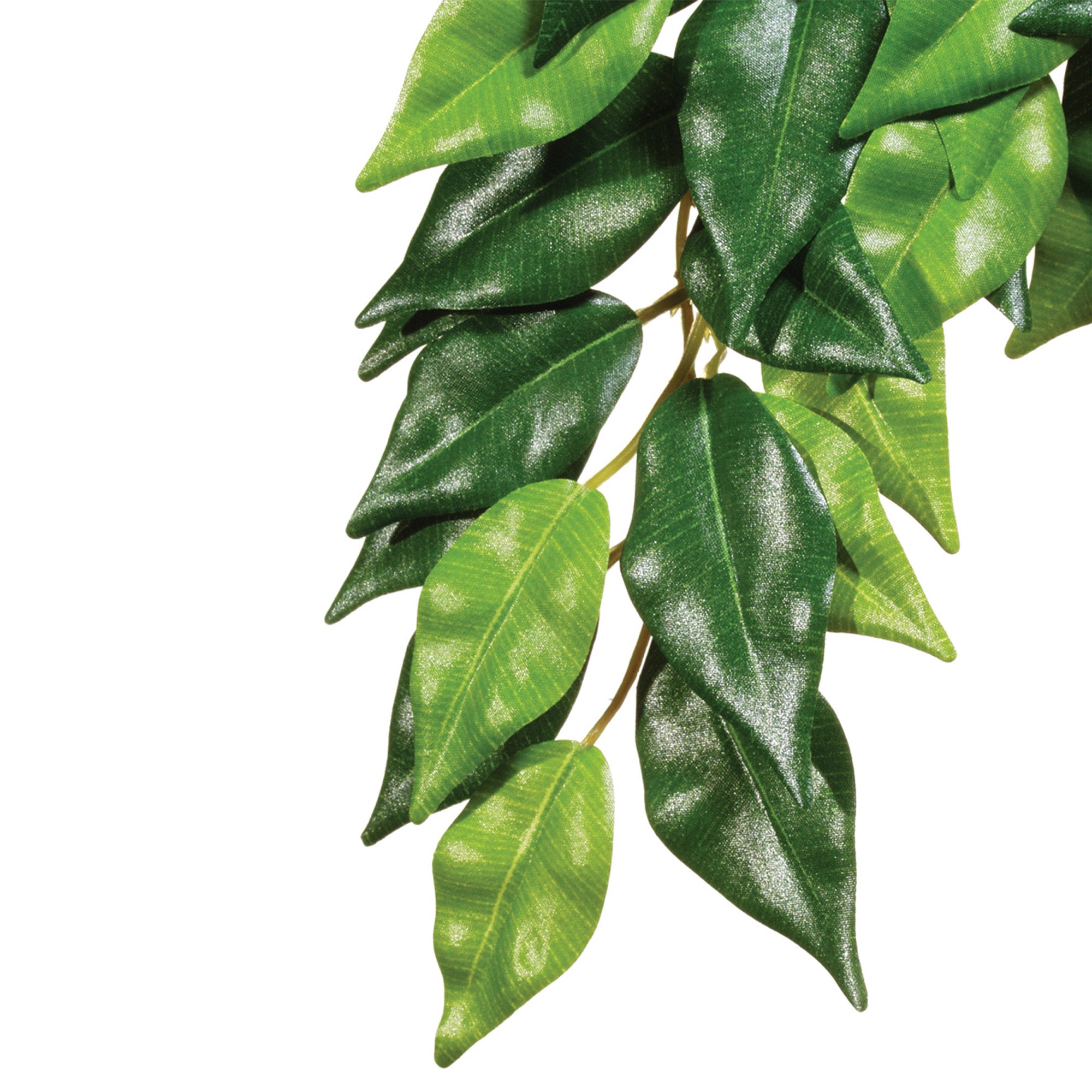 hanging silk plants Exo Terra Jungle Plants | Hanging Silk Plants | Pangea Reptile