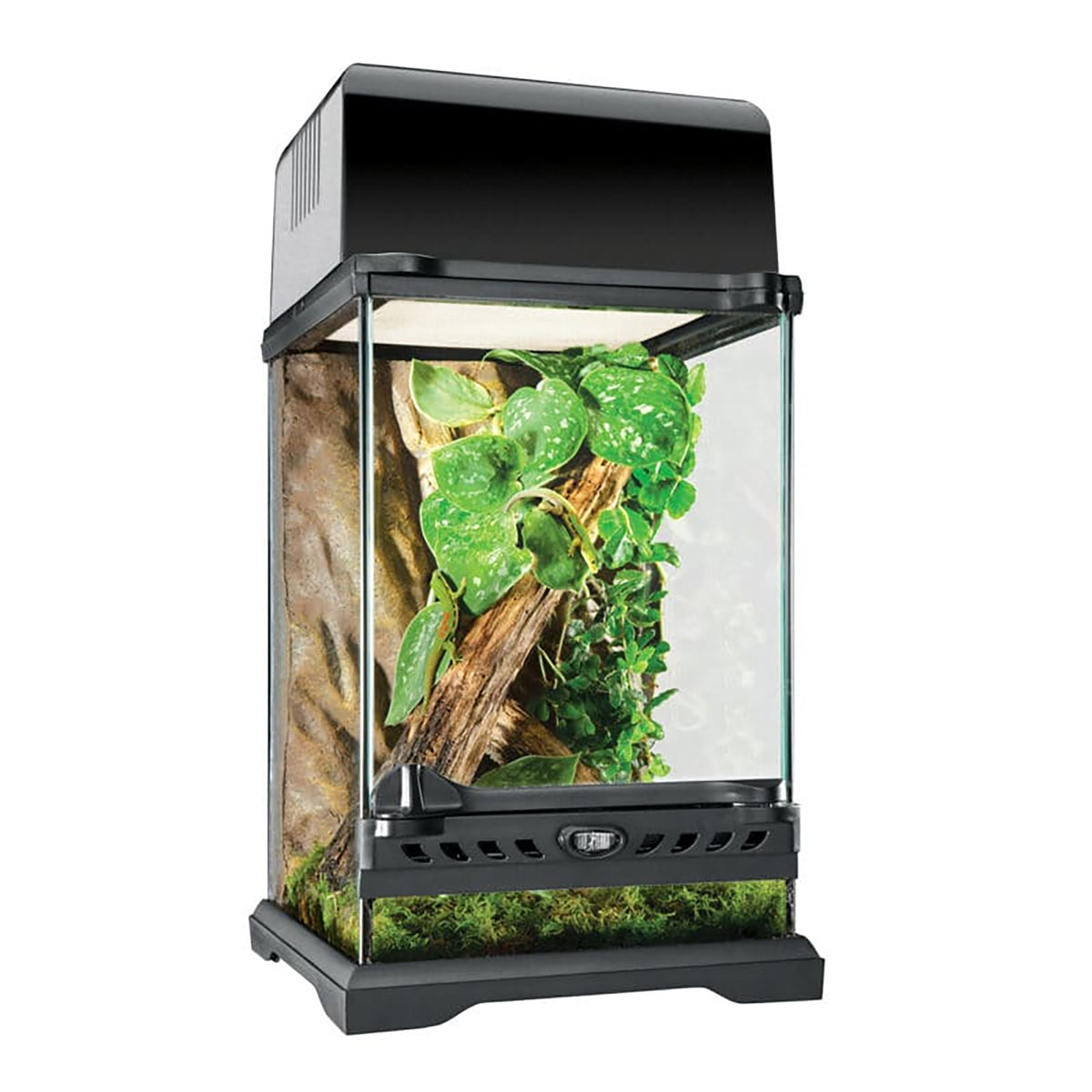 Exo Terra Nano Terrarium 8" x 8" x 12"