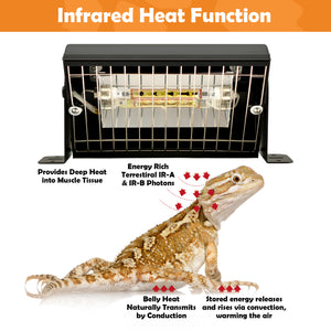Reptile systems gold infrared lamp unit with diagram explaining infrared heating principles on a juvenile bearded dragon