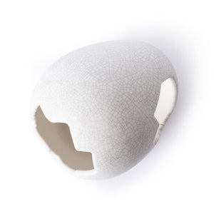 Galápagos Ceramic Egg Hide