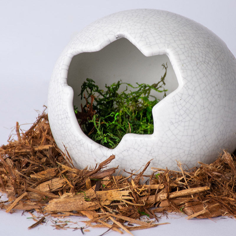 Galápagos Ceramic Egg Hide