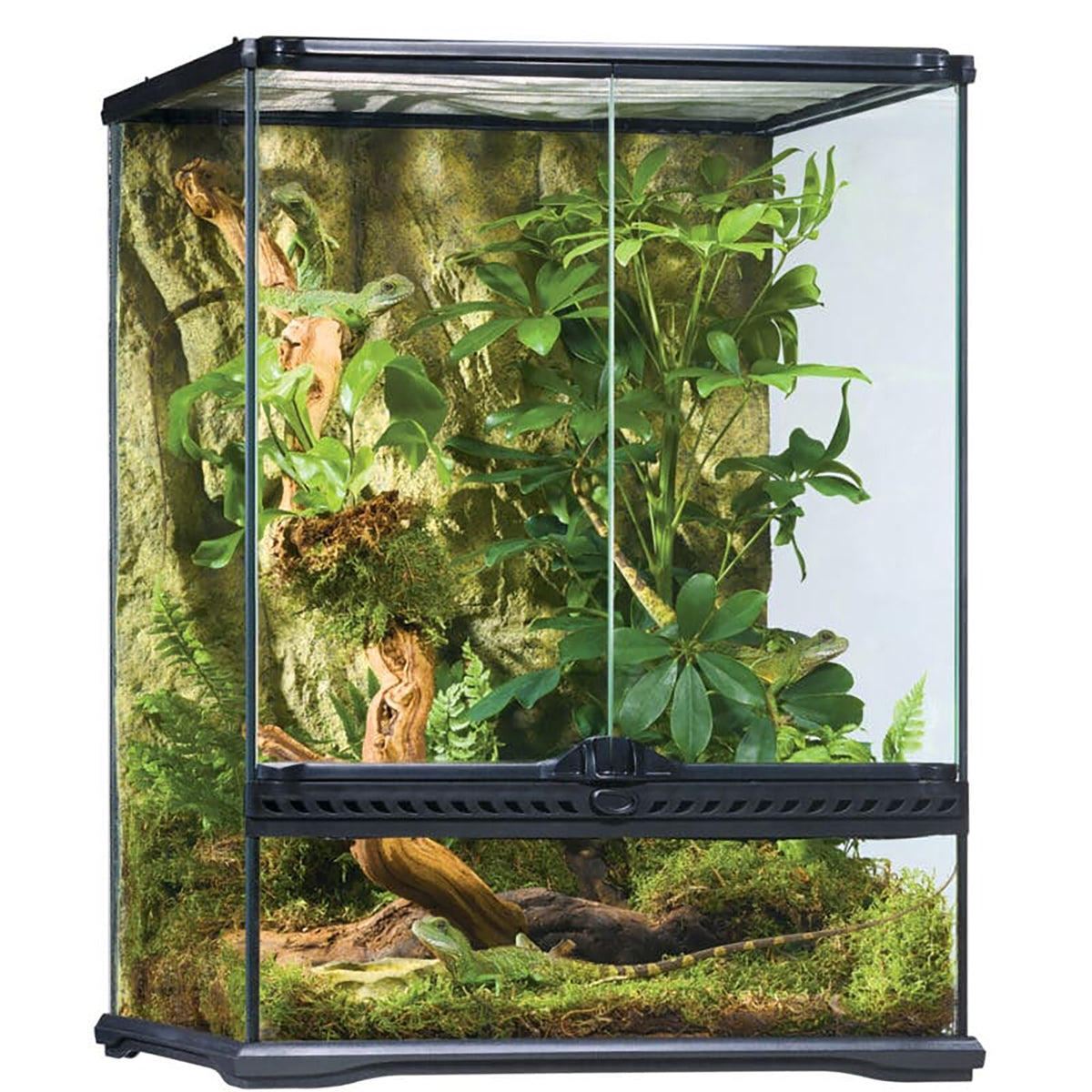 Large Reptile Terrarium Habitats Pangea Reptile Pangea