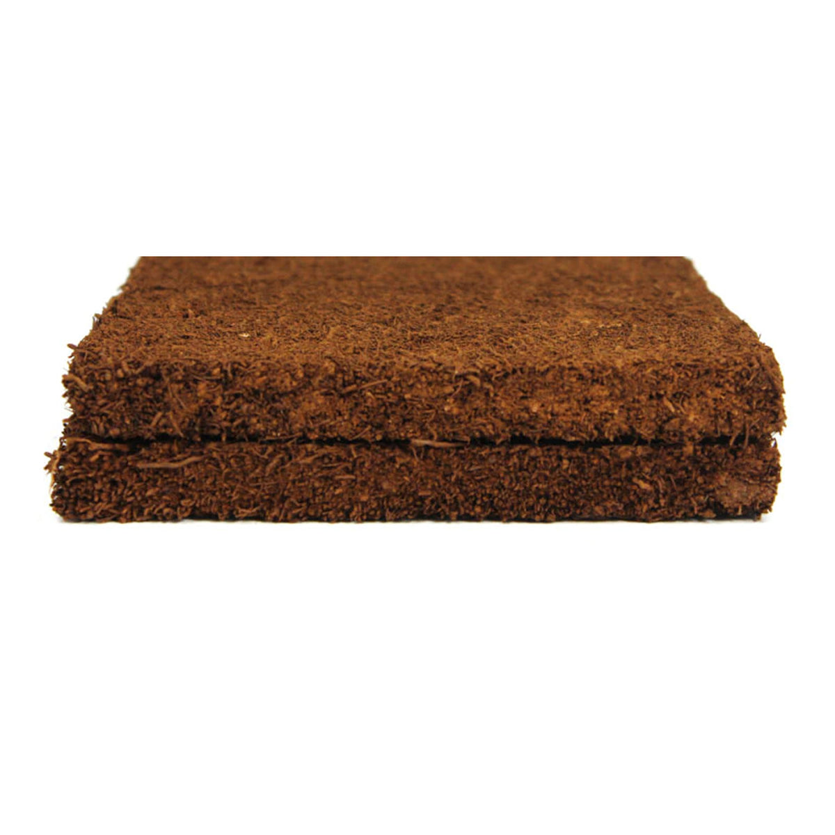 Fern Wood New Zealand Tree Fern Tropical Background Panels stacked