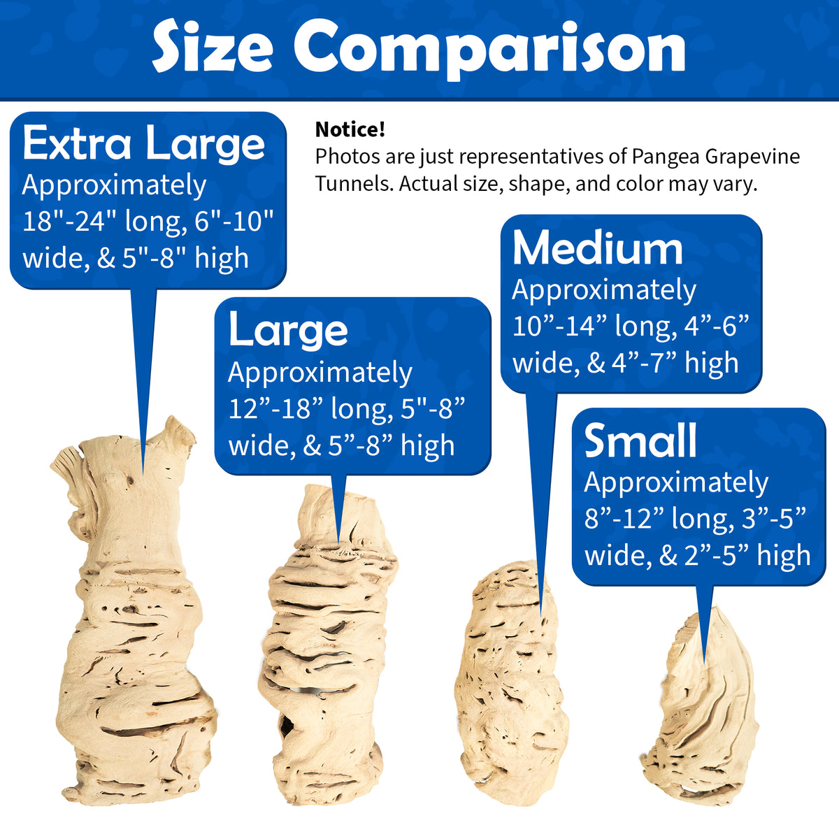 Pangea Grapevine Tunnels