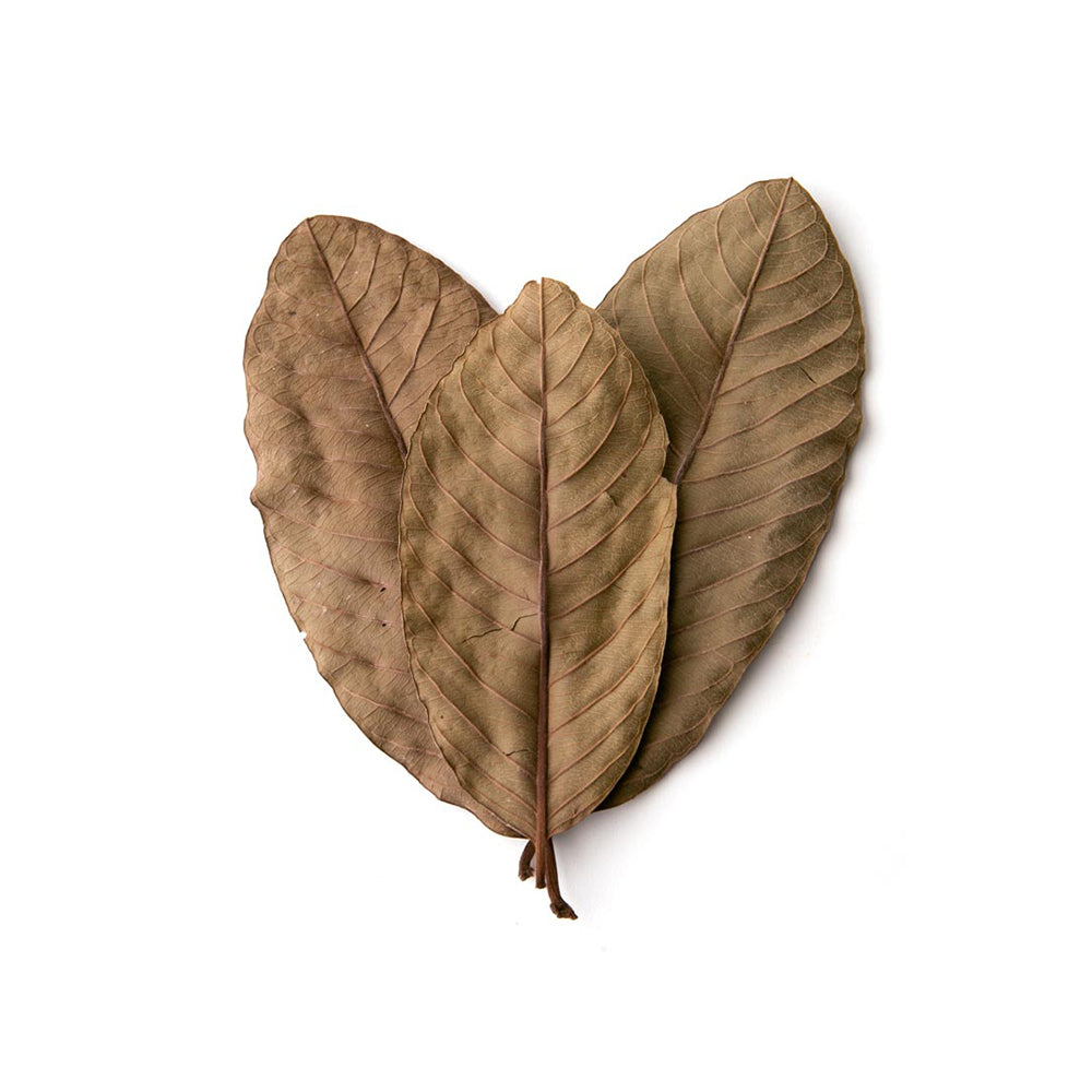 Pangea Leaf Litter Decor