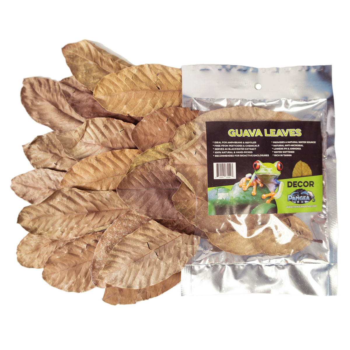 Pangea Leaf Litter Decor