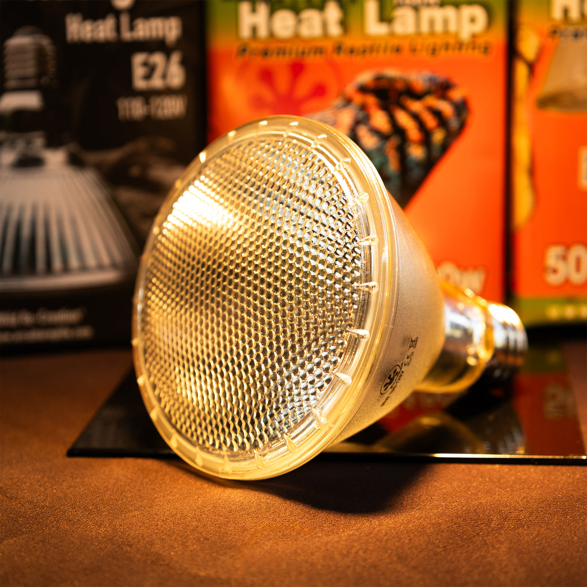 Pangea Halogen Heat Lamp bulb with boxes in background.