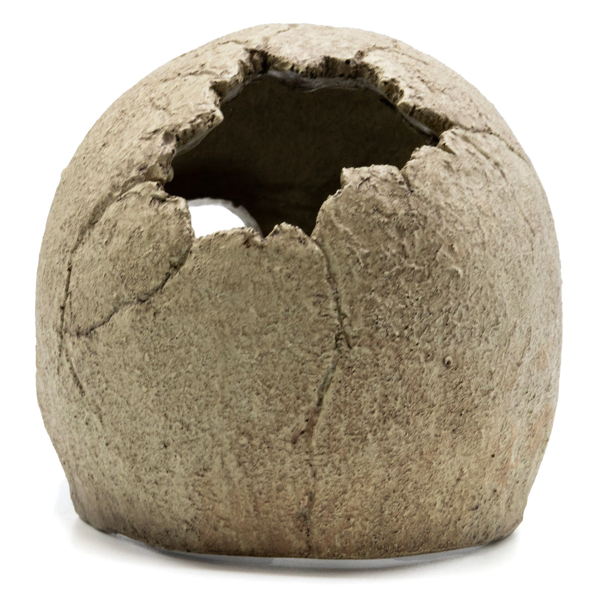 Pangea Human Skull Reptile Hide