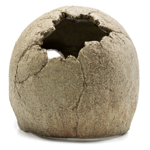 Pangea Human Skull Reptile Hide