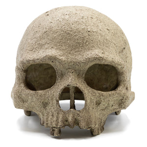 Pangea Human Skull Reptile Hide