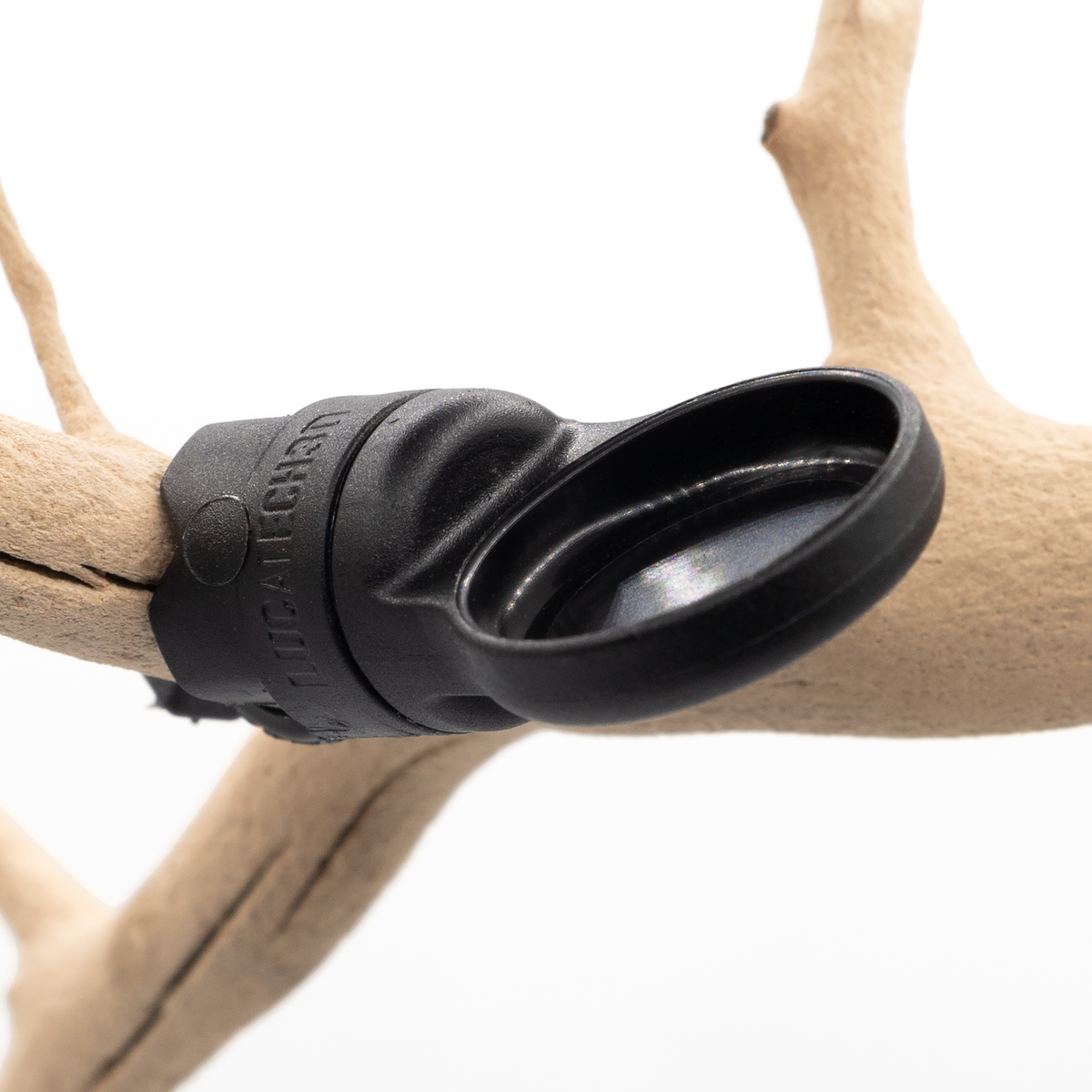 Pangea MicroDish Branch Mount Kit Small - bowl and magnetic mount on branch.