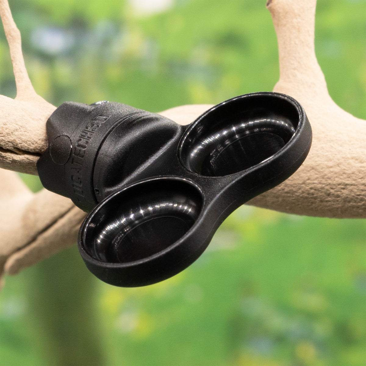 Pangea MicroDish Extra-Small Dual Branch Mount Kit on a branch.