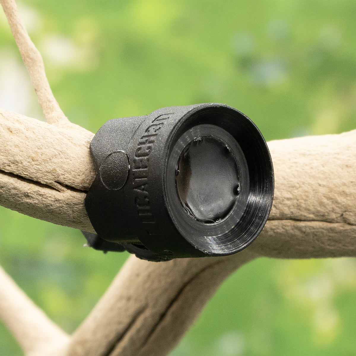 Pangea MicroDish Branch Mount Small - mount on branch against green background.