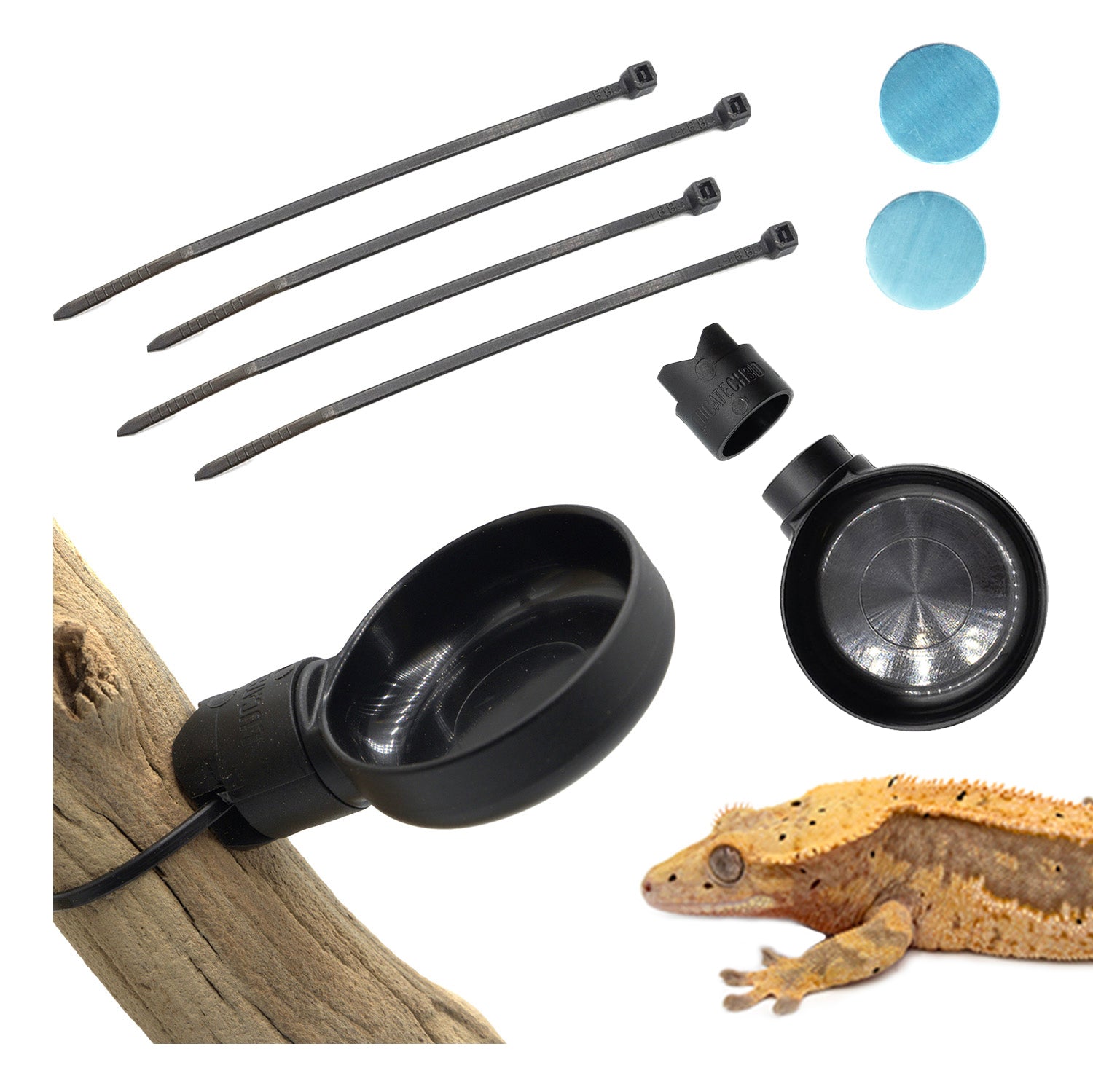 thumbnail image 2 of Quilax 12Pcs Crested Gecko Food And Water Feeding Cups 2 of 12