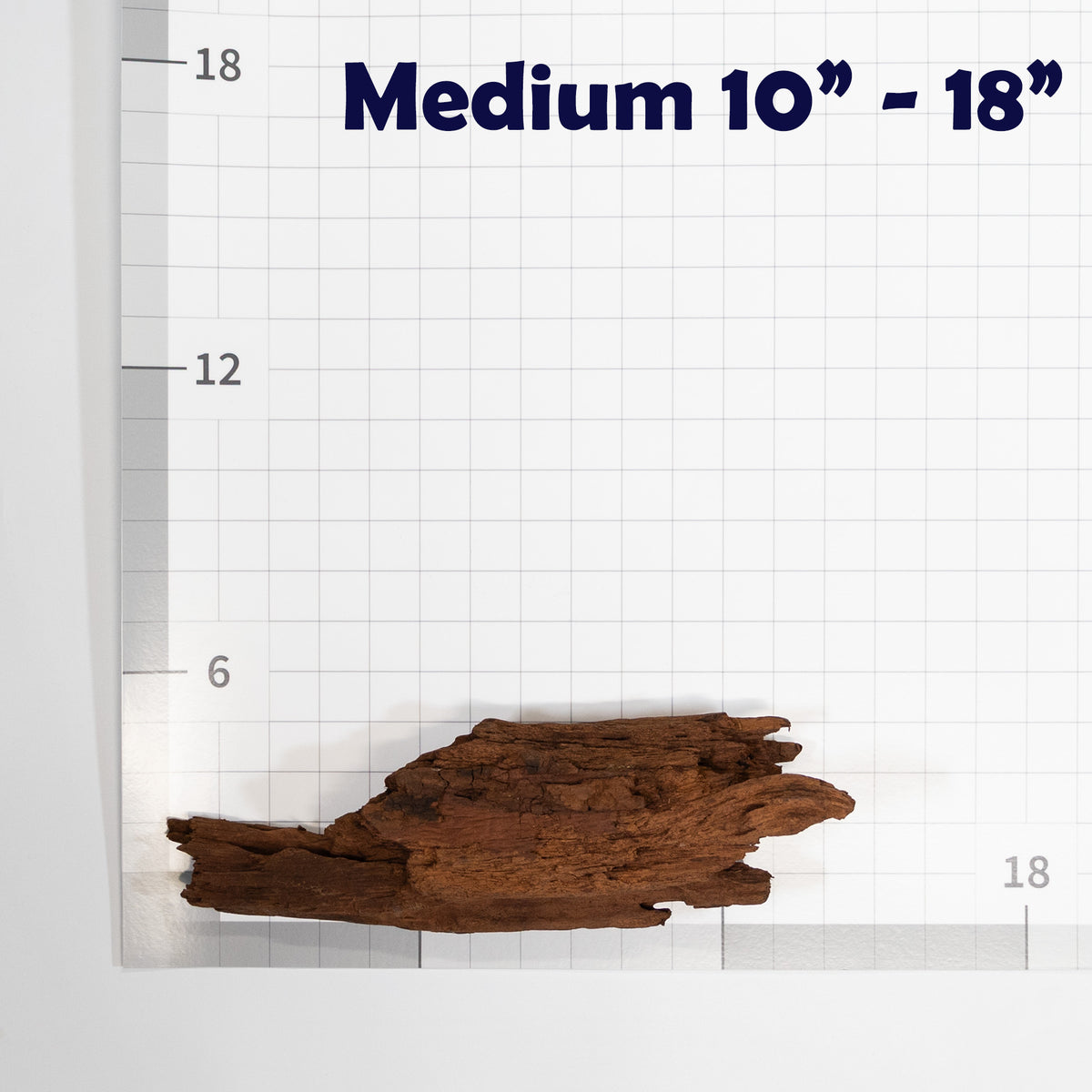 Pangea Malaysian Driftwood Decor