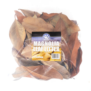 Magnolia Leaf Litter Gallon