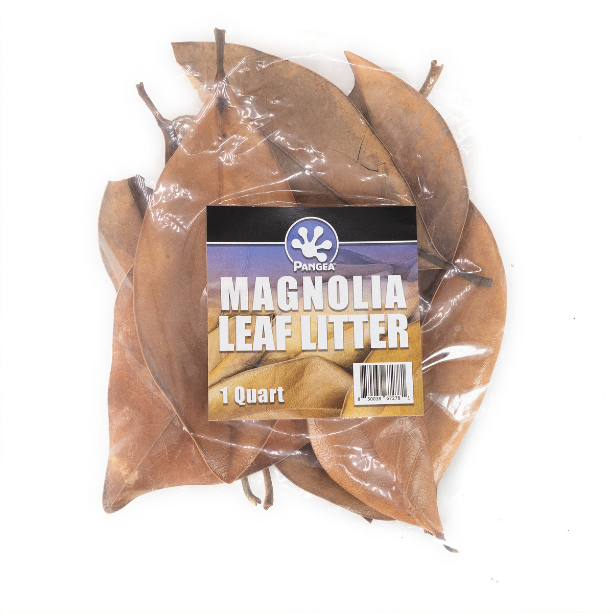 Magnolia Leaf Litter Quart