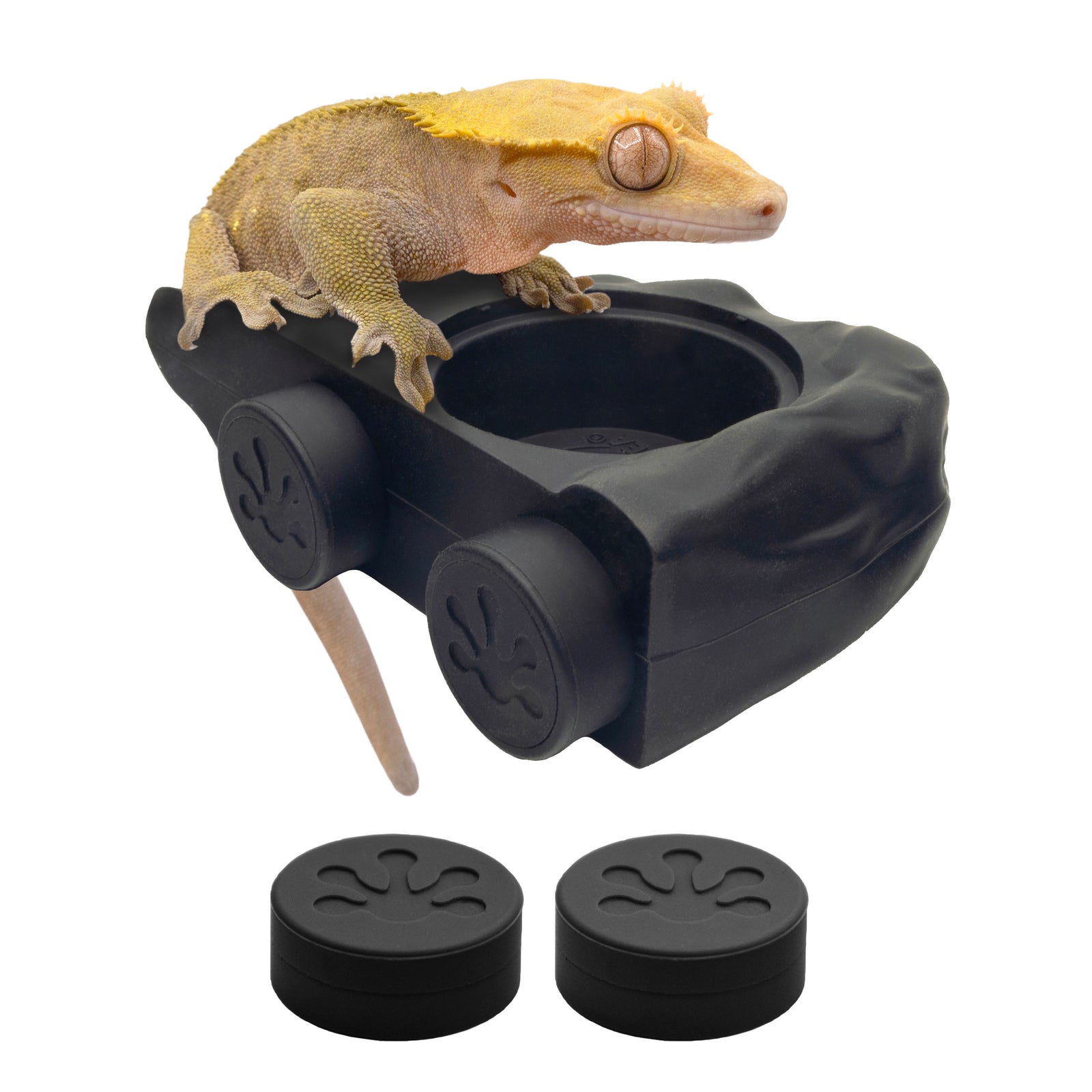Pangea Eco Ledge - Magnetic Silicone Gecko Food Ledge