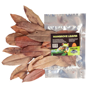 Pangea Leaf Litter Decor