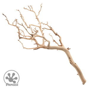 Manzanita wood branch depicted on a white background with a trademarked Pangea logo