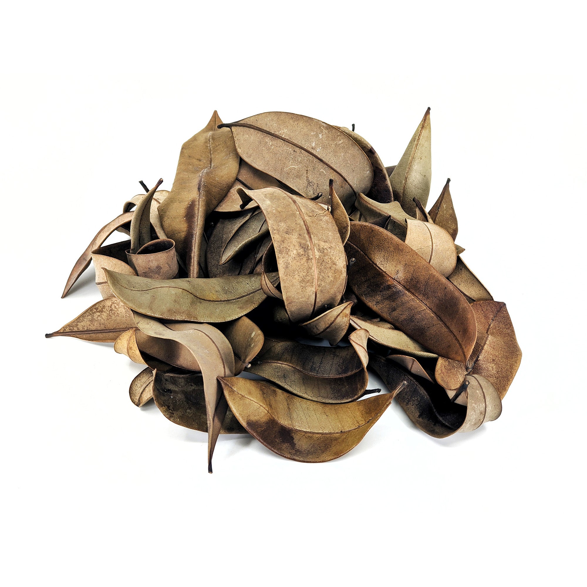 Pangea Peruvian Marupa Leaf Litter