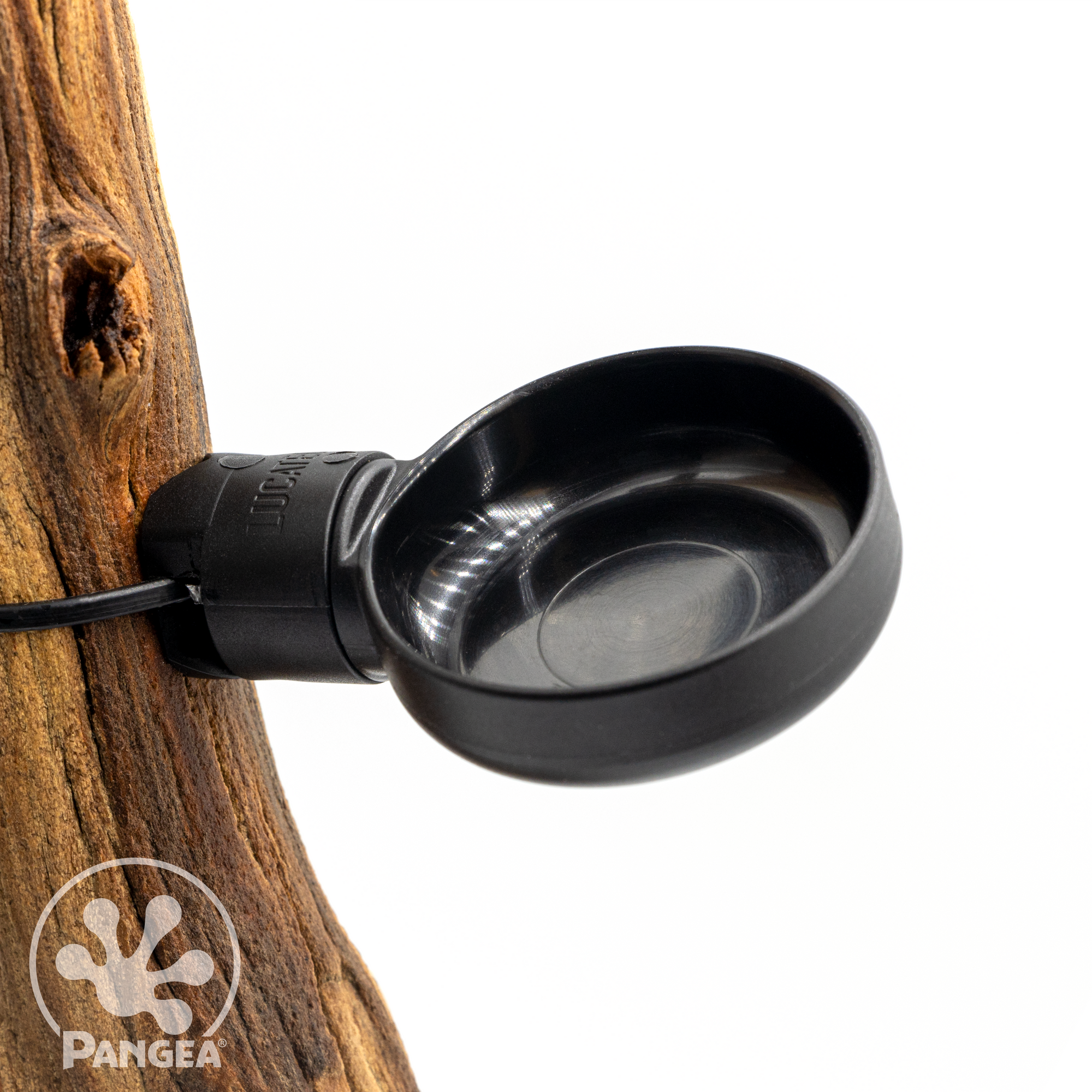 Pangea Replacement Small Suction Cups for Pangea Plants and Hanging Bushes