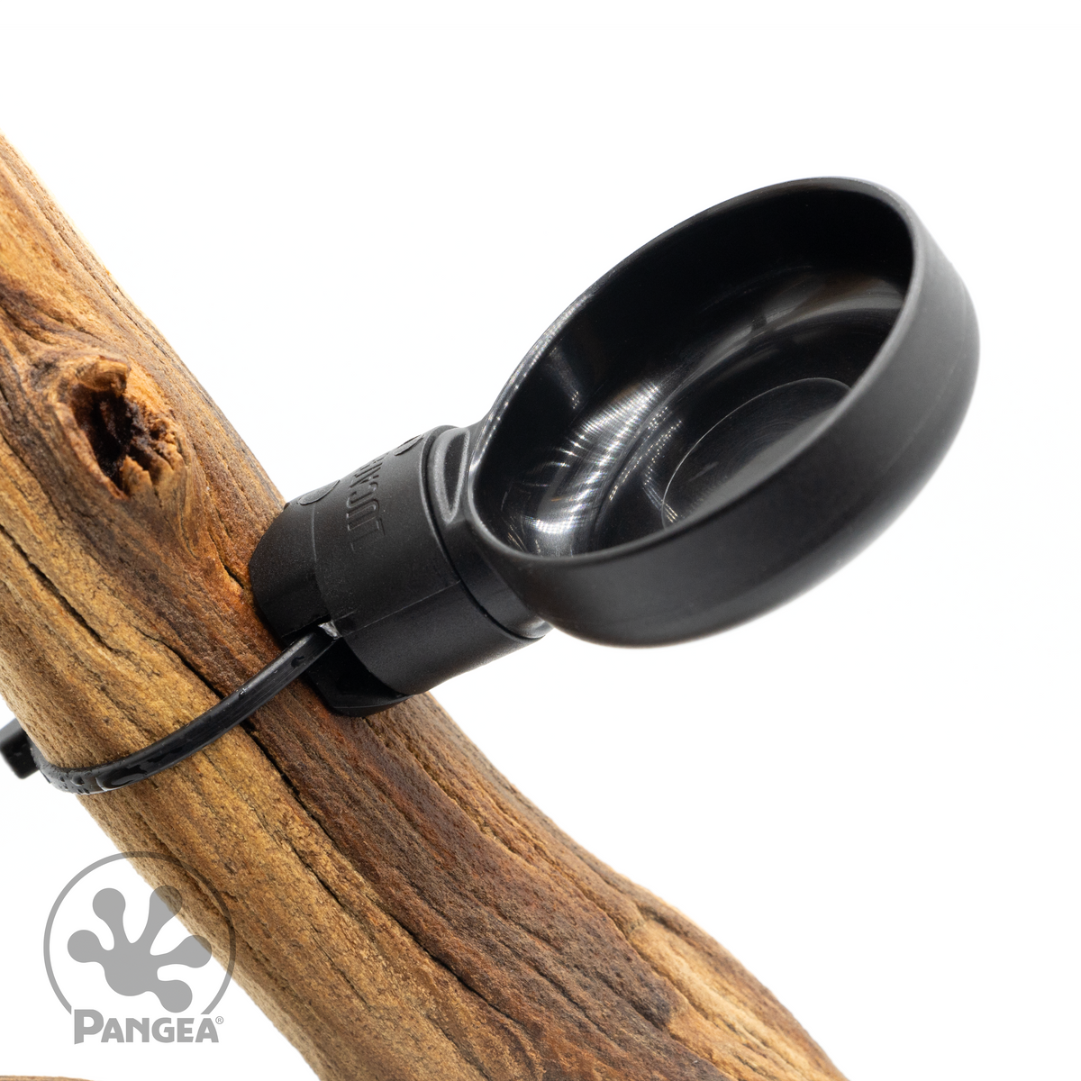 Pangea MicroDish Branch Mount Kit Large - attached to branch at an angle.