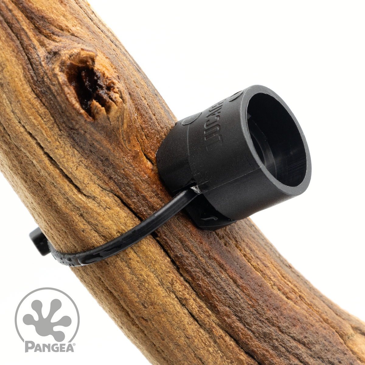 Pangea MicroDish Branch Mount Kit Large - magnetic mount attached to branch at angle.