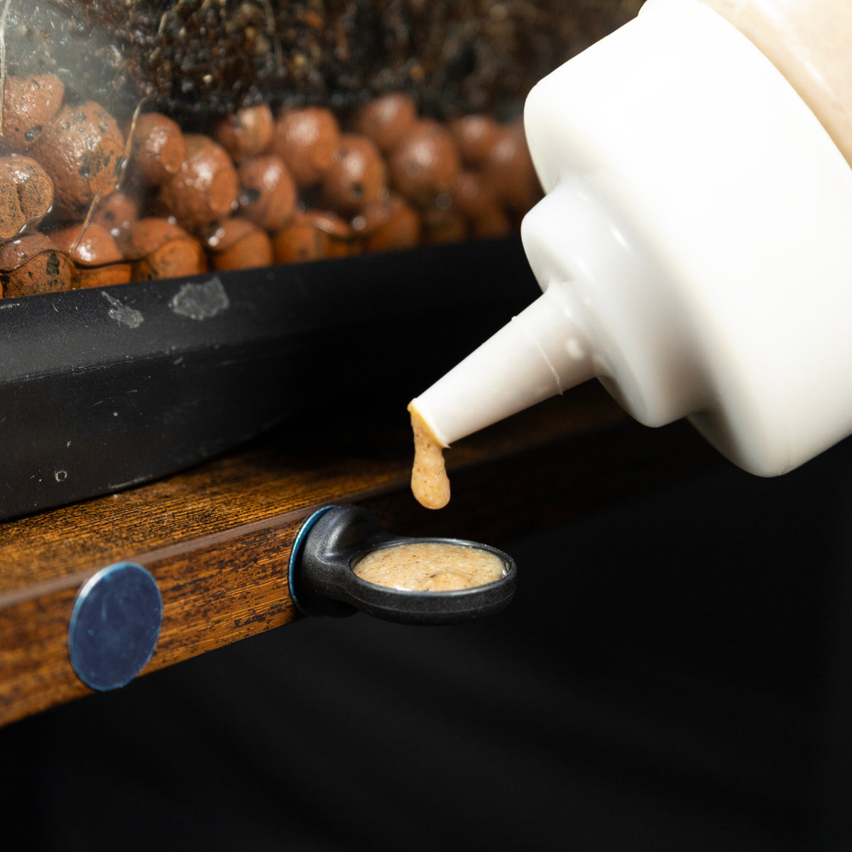 Filling Pangea MicroDish Small Surface Mount Kit with Pangea gecko food and Pangea Squeeze Bottle.