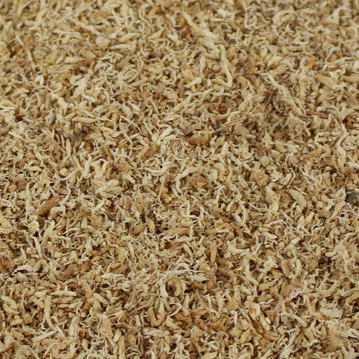 Pangea Milled Sphagnum Moss close up texture details.