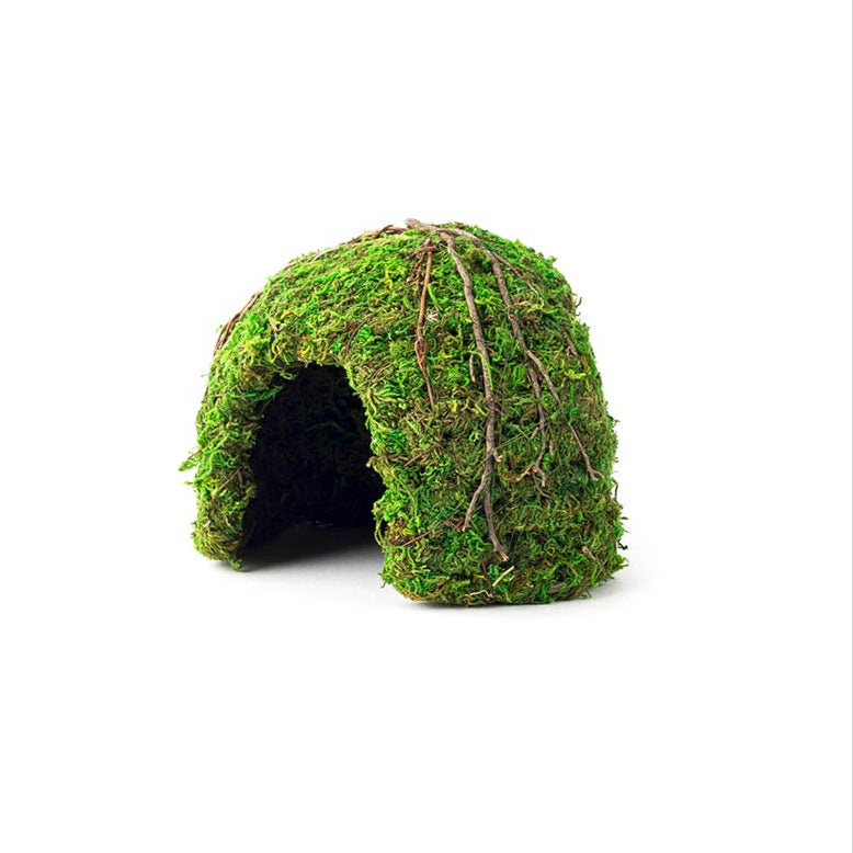 Galápagos Mossy Dome