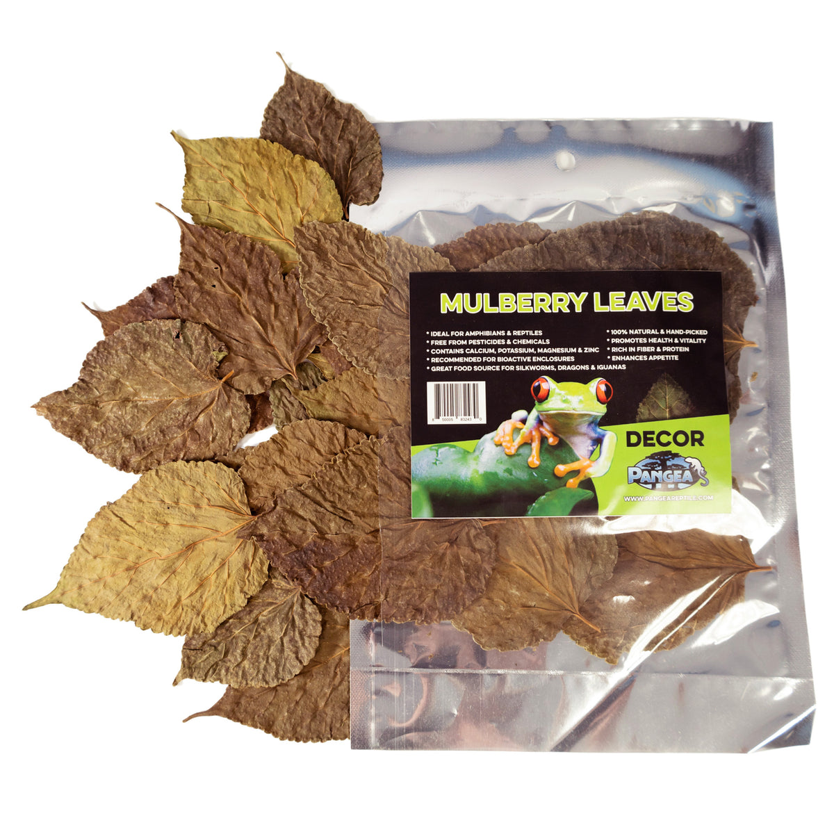 Pangea Leaf Litter Decor