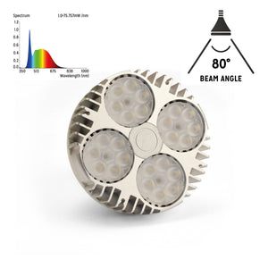 Reptile Systems New Dawn LED