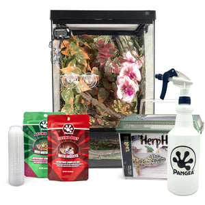 Complete Crested Gecko Kit